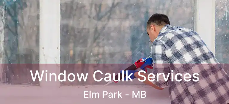  Window Caulk Services Elm Park - MB