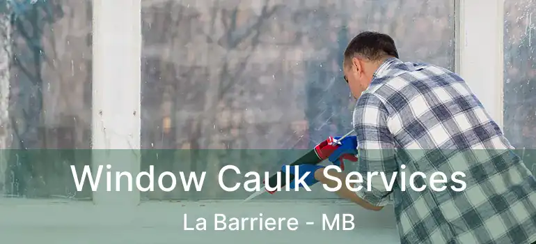  Window Caulk Services La Barriere - MB