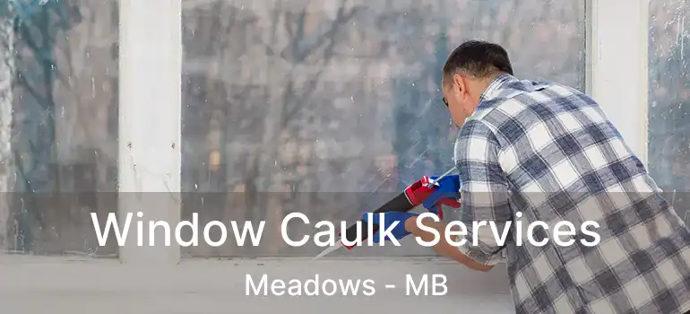  Window Caulk Services Meadows - MB