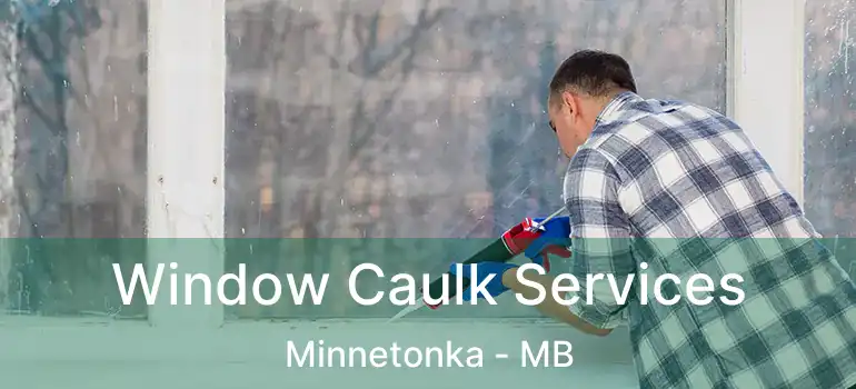  Window Caulk Services Minnetonka - MB