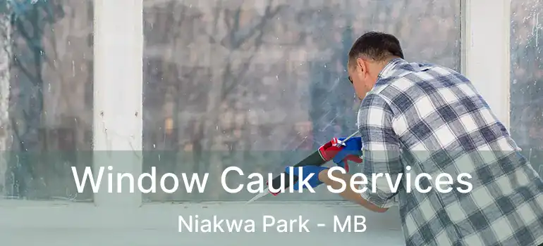  Window Caulk Services Niakwa Park - MB