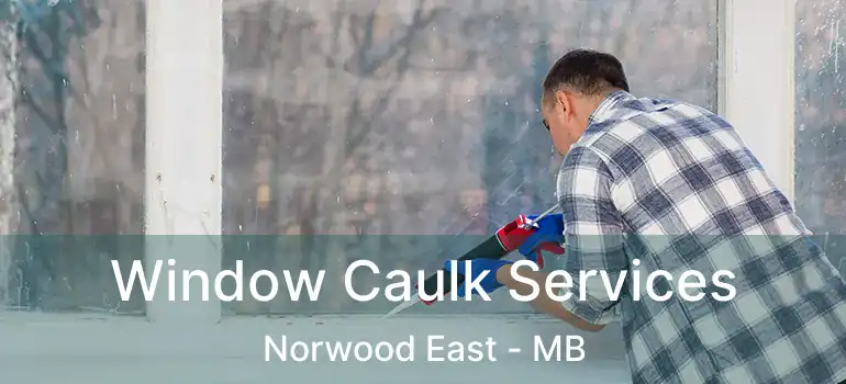  Window Caulk Services Norwood East - MB