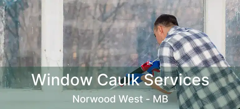  Window Caulk Services Norwood West - MB