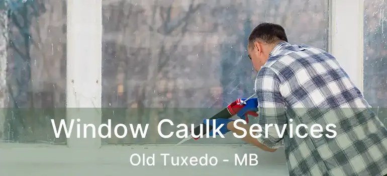  Window Caulk Services Old Tuxedo - MB