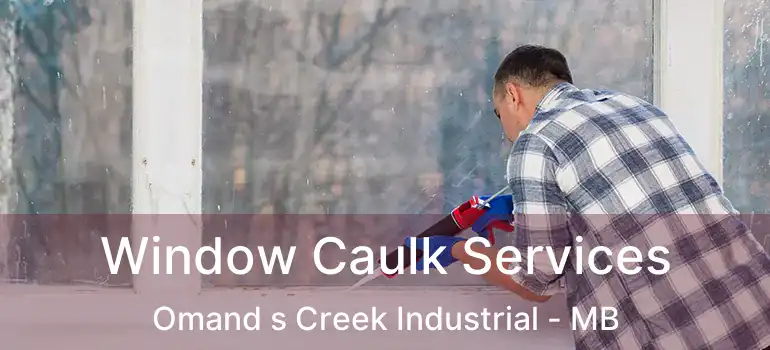  Window Caulk Services Omand s Creek Industrial - MB