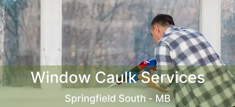  Window Caulk Services Springfield South - MB