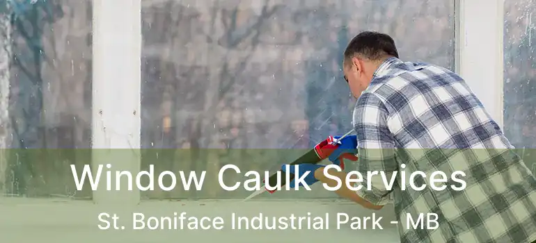  Window Caulk Services St. Boniface Industrial Park - MB