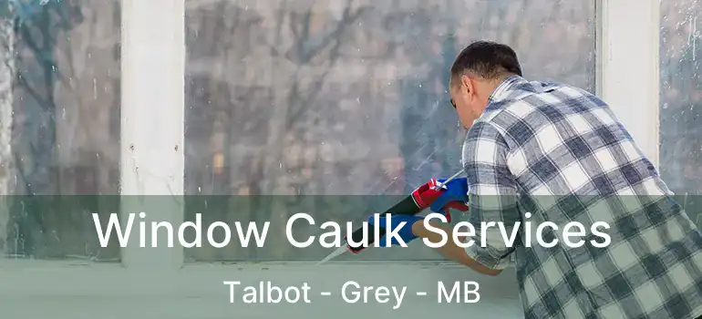  Window Caulk Services Talbot - Grey - MB