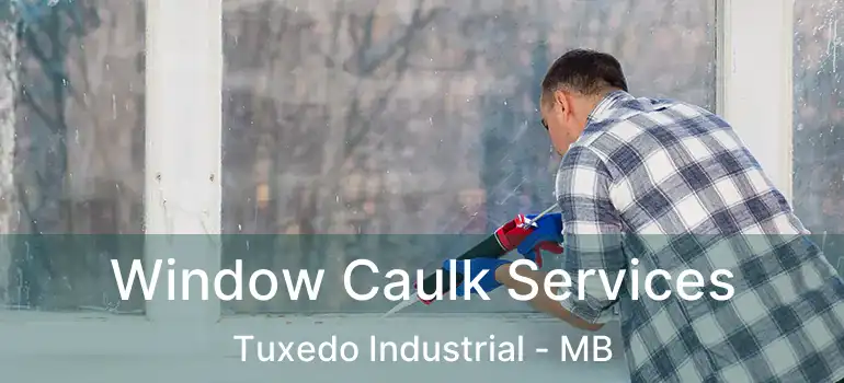  Window Caulk Services Tuxedo Industrial - MB