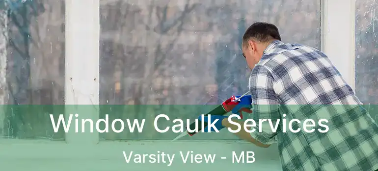  Window Caulk Services Varsity View - MB