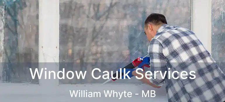  Window Caulk Services William Whyte - MB