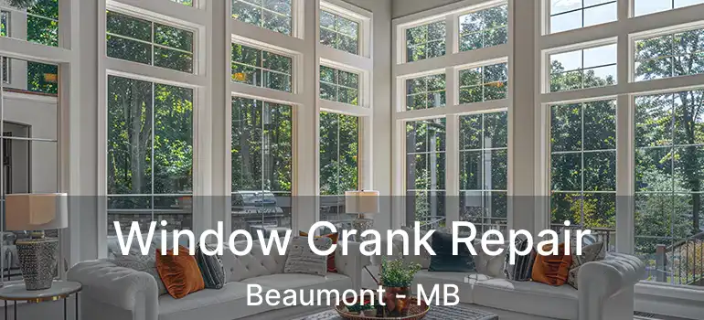  Window Crank Repair Beaumont - MB