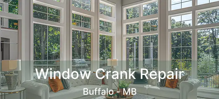  Window Crank Repair Buffalo - MB