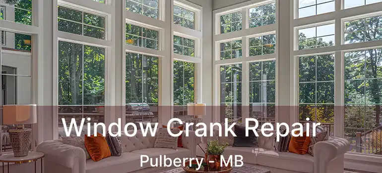  Window Crank Repair Pulberry - MB