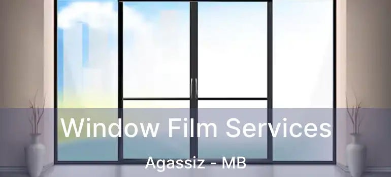  Window Film Services Agassiz - MB