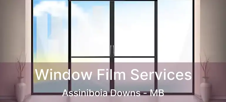  Window Film Services Assiniboia Downs - MB