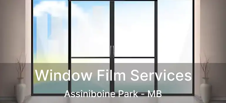  Window Film Services Assiniboine Park - MB
