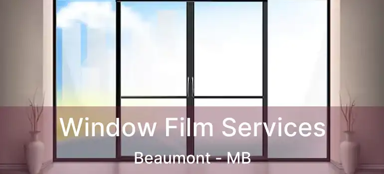  Window Film Services Beaumont - MB