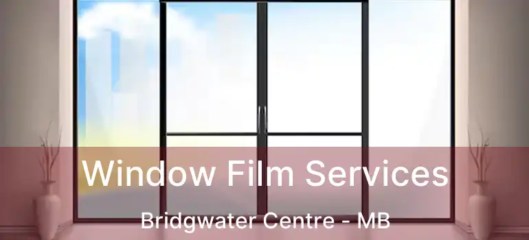  Window Film Services Bridgwater Centre - MB