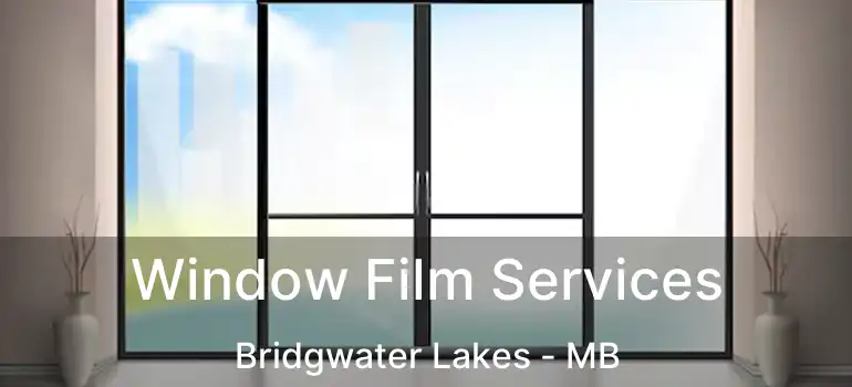 Window Film Services Bridgwater Lakes - MB