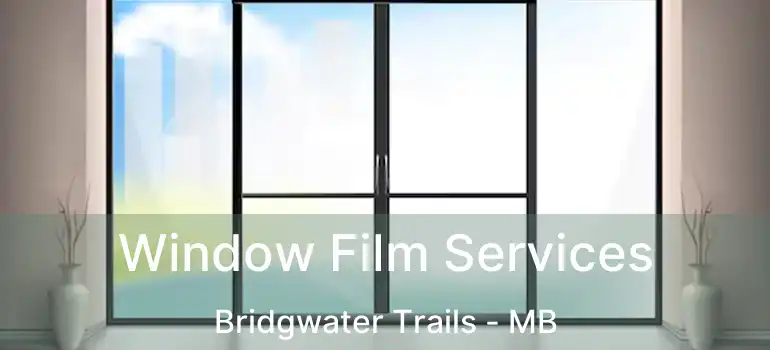  Window Film Services Bridgwater Trails - MB