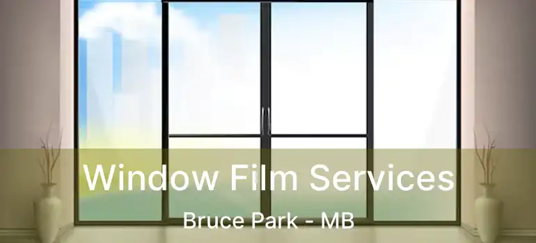  Window Film Services Bruce Park - MB