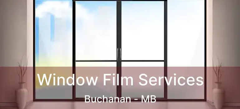  Window Film Services Buchanan - MB
