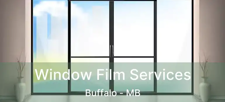  Window Film Services Buffalo - MB