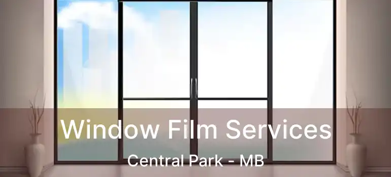  Window Film Services Central Park - MB