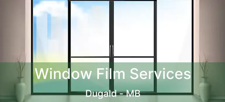  Window Film Services Dugald - MB