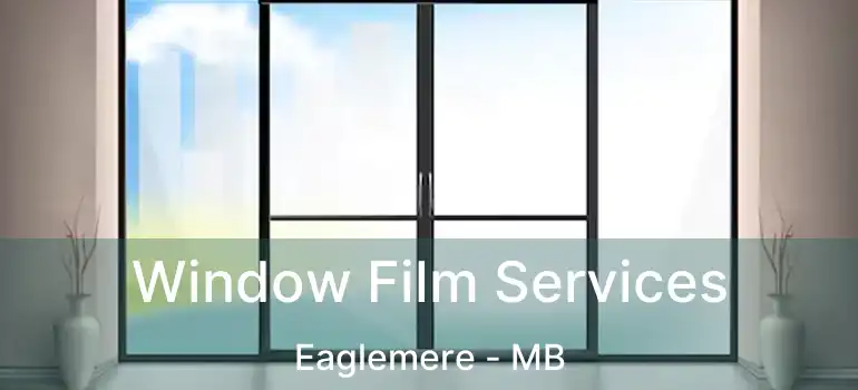  Window Film Services Eaglemere - MB