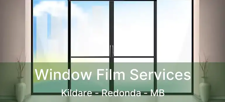  Window Film Services Kildare - Redonda - MB