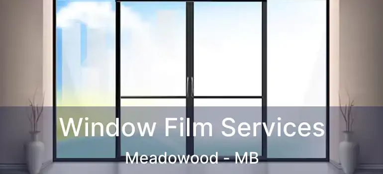  Window Film Services Meadowood - MB