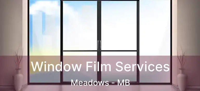  Window Film Services Meadows - MB