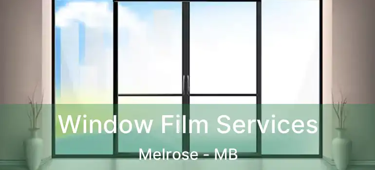  Window Film Services Melrose - MB