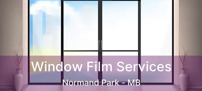  Window Film Services Normand Park - MB