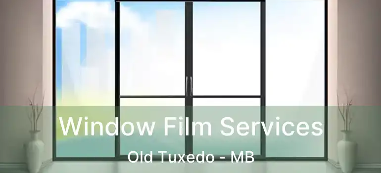  Window Film Services Old Tuxedo - MB