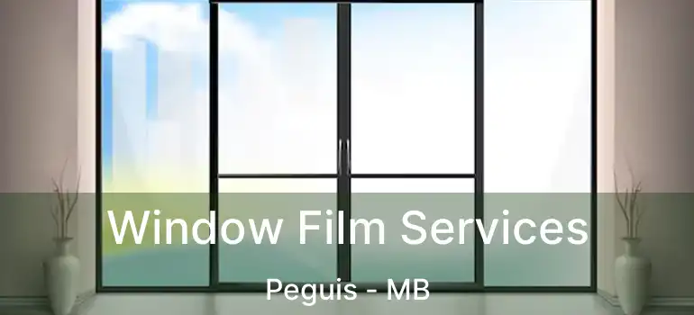  Window Film Services Peguis - MB