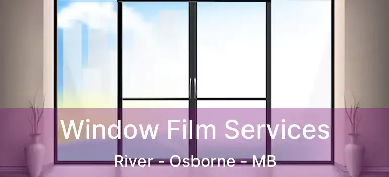  Window Film Services River - Osborne - MB