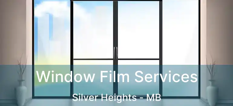  Window Film Services Silver Heights - MB