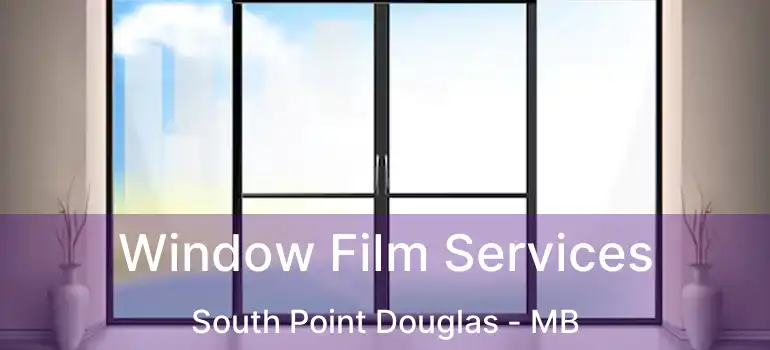  Window Film Services South Point Douglas - MB