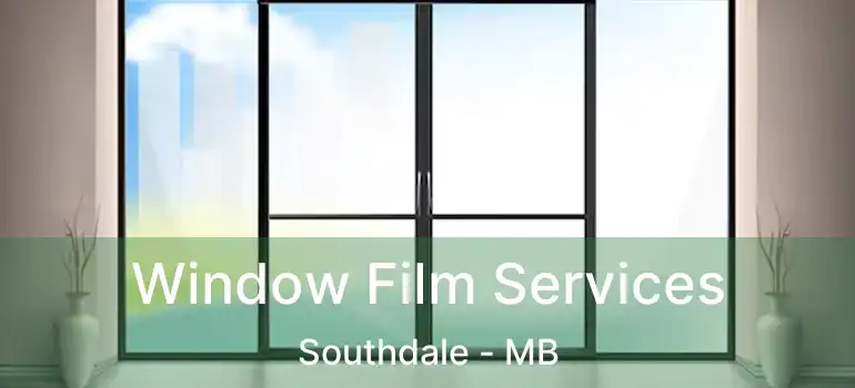  Window Film Services Southdale - MB