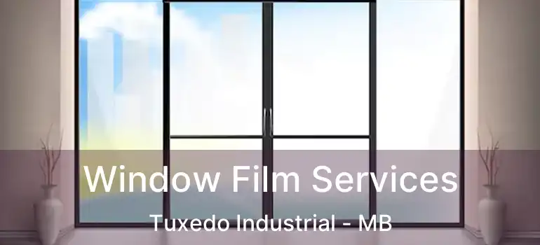  Window Film Services Tuxedo Industrial - MB