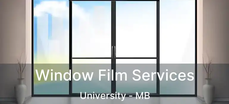  Window Film Services University - MB