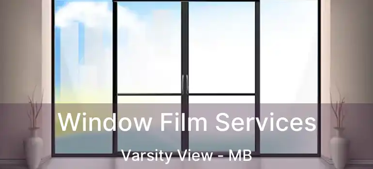  Window Film Services Varsity View - MB