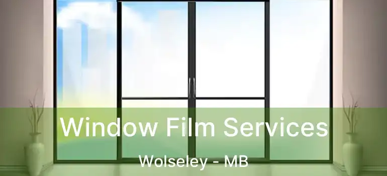  Window Film Services Wolseley - MB