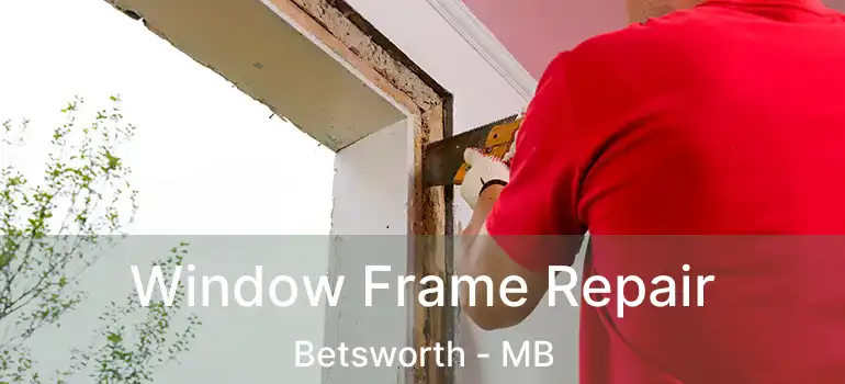  Window Frame Repair Betsworth - MB