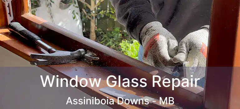  Window Glass Repair Assiniboia Downs - MB