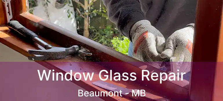  Window Glass Repair Beaumont - MB