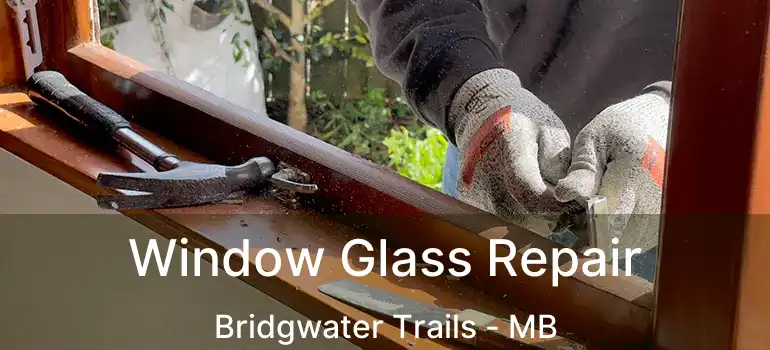 Window Glass Repair Bridgwater Trails - MB